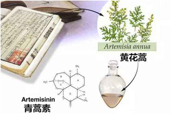 九游平台客服,九游（中国）：向中医药看齐，与世界共享中医药文化(图1)